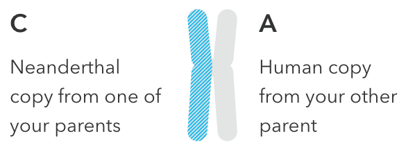 scientific_details_3.png
