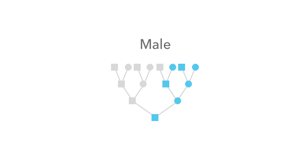 Who_passed_along_your_X_chromosome_DNA_-_male_only.png