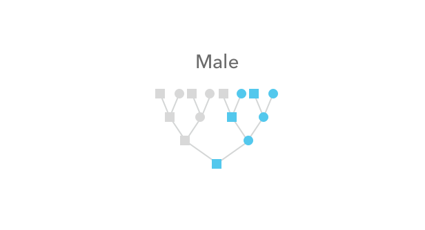 x_chromosome_Male.png