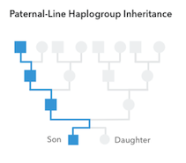 Paternal Haplogroups - Haplogroup Inheritance – 23andMe Customer Care ...